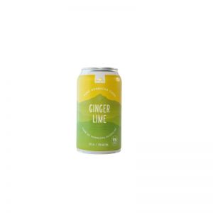 Wtk Hard Kombucha Ginger Lime